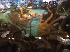 -蟹之国·精品蟹料理(极地店)