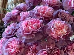 -循礼门鲜花花市(武汉循礼门店)