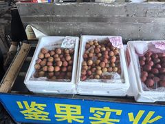 -西郊国际农产品交易中心