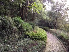 iphone_upload_pic-上海市保健医疗中心(华东疗养院)