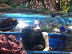 -暹罗海洋世界