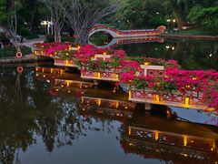 -深圳龙潭公园