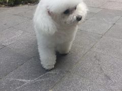 -惠康宠物医院(华能路店)