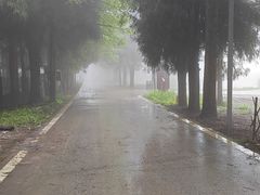 -武陵山森林公园