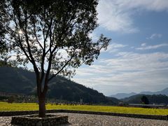 -福建土楼（华安）旅游区•大地土楼群