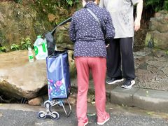 -杭州半山国家森林公园