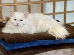 -小时光咖啡馆(开森度假森林店)