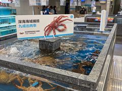 -盒马鲜生(枣园路店)
