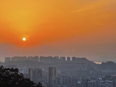 -福道