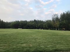 -合肥滨湖国家森林公园