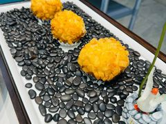 -丁老爷子苏香圆