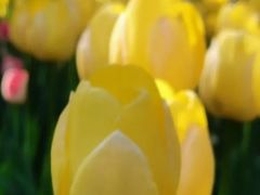 -长春公园(普阳街道)