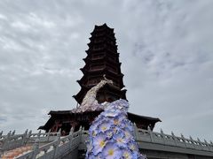 -江苏三台山国家森林公园