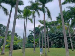 -中国科学院西双版纳热带植物园
