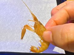 -潮庭·大连海鲜·炭火烧烤·扇贝王(大连店)
