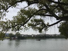 -新安江山水画廊风景区