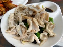 -鲁前海沿儿