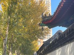 -西塔