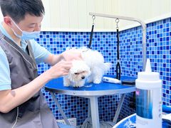 -瑞鹏宠物医院·宠保定点·心脏科·内科(御桥分院)