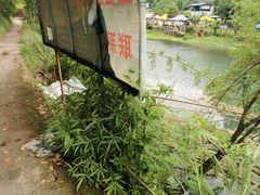 -情人谷