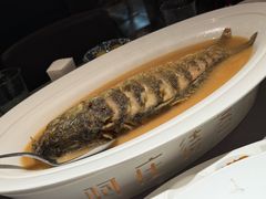 -阿庄新豫菜(通泰路店)