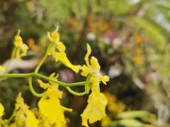 -南通洲际绿博园