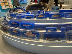 -千岛湖鱼味馆(十字街总店)