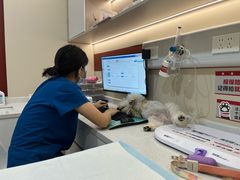 -御宝贝24h宠物医院·转诊中心·CT核磁血透中心(厦门总院)