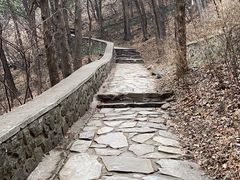 -香山公园