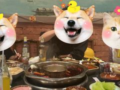 -大龙火锅(老店)