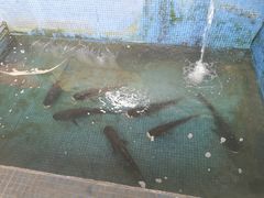-溪悦渔庄(九龙湖店)