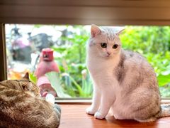 -咖法森林·咖啡  酒吧(天河店)