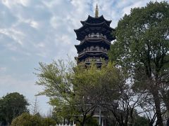-洋湖国家湿地公园