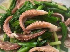 麻辣八爪鱼-渡海小渔村.老辈日照菜