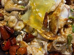 -百岁鱼(望月路店)