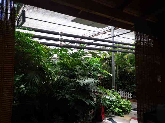 大掌柜生态园(解放北路店)-"初三的餐 不能理解的是筷子要收费 难道去