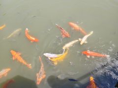 -鄂尔多斯野生动物园