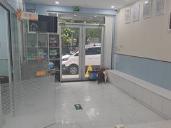 -纳吉亚猫专科动物诊疗中心(蒋宅口分院)