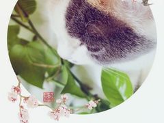 -老李家杂肝汤(回民街店)