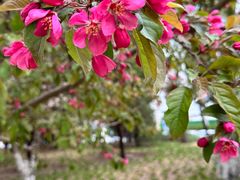 -元大都城垣遗址公园