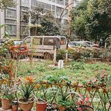 开春了，鸟语花香。还不知道门前的花园怎么安排