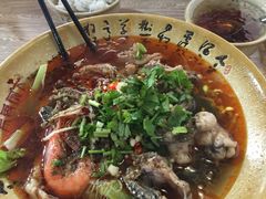 -芙蓉树下冒菜·麻辣烫(农院店)