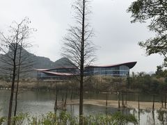 -南宁花花大世界景区