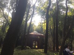 -同里国家湿地公园