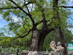 -大望京公园
