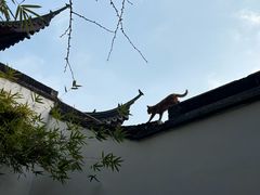 -西园戒幢律寺