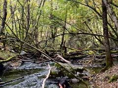 -叠溪松坪沟景区