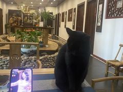 -龙源茶坊(白银路店)