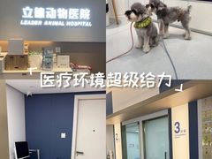 -立德24H动物医院·夜诊·转诊中心·1.5T核磁共振(海珠店)
