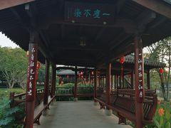 -江心屿景区